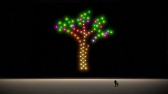 Formation Baum